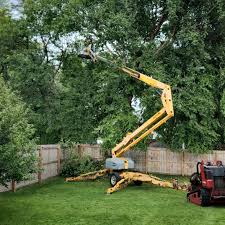 Best Commercial Tree Services  in Whitewater, CA